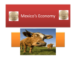 7297308_Mexico`s-Economy