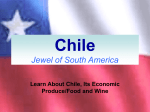 Chile A Land of Plenty
