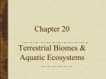 Terrestrial Biomes & Aquatic Ecosystems
