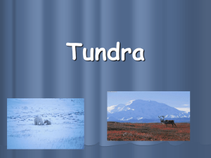 Tundra - Edublogs