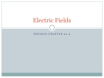 Electric Fields - E. R. Greenman