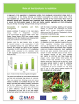 Role of horticulture in nutrition