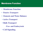 3 Cell Membranes