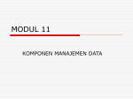 11. Komponen Manajemen Data - E
