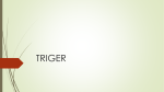 triger - Staffsite STIMATA