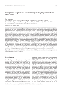 Intraspecific adoption and foster feeding of fledglings in the North