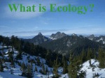 7-NW Ecology (SUM)