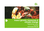 Insect genetic resources climate change