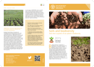 A healthy soil is a living soil. Soils host a quarter of our planet’s biodiversity