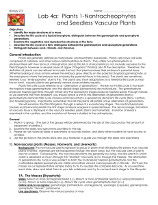 Lab 4: Non Tracehophytes and Seedless Tracheophytes