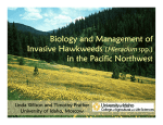Linda Wilson and Timothy Prather, University of Idaho. Biology and Management of Invasive Hawkweeds ( Hieracium spp.) in the Pacific Northwest. (PDF)