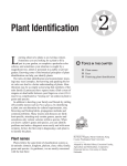 2: Plant Identification