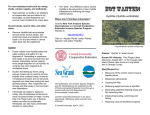 NYSG's “Not Wanted: Hydrilla” Fact Sheet (pdf)