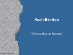 05Socialization