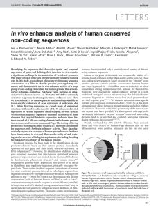 Testing enhancers predicted by high constraint