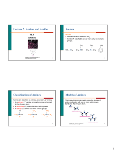 Lecture 7_Amines and Amides