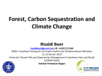 Forest Reference Emission Levels (FREL) and National Forest
