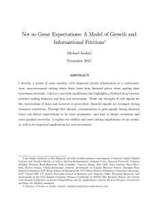 Not so Great Expectations: A Model of Growth and Informational Frictions