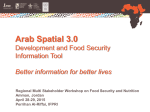 IFPRI Arab Spatial launch