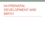 04-Prenatal Development and Birth