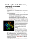 Atypical Pseudocholinesterase-Anesthesia-2