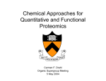 Chemical Approaches for Quantitative and Functional Proteomics