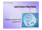 sintesis protein - SMAN 8 YOGYAKARTA