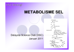 P3 Metabolisme Sel - SMAN 8 YOGYAKARTA