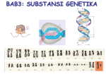 Bab 3 SUBSTANSI GENETIKA