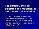 HW Selection and mutation