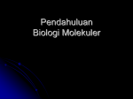 1. Introduction biology molecular, resume ind_PPN