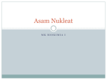 Asam Nukleat - WordPress.com