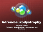 Jennifer Kallini - Adrenoleukodystrophy