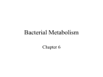 L3 - Bacterial Metabolism v3