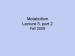 L5 Metabolism Part2 Fa08