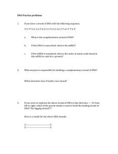 DNA Practice problems