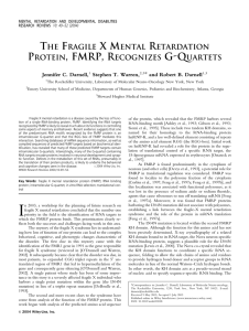 Darnell, JC, Warren, ST and Darnell, RB: The fragile X mental retardation protein, FMRP, recognizes G-quartets. Mental Retardation and Developmental Disabilities Research Reviews 10:49-52 (2004).