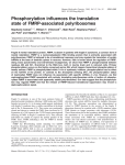 Ceman, S, O Donnell, WT, Reed, M, Patton, S, Pohl, J and Warren, ST: Phosphorylation regulates translation state of FMRP-associated polyribosomes. Human Molecular Genetics 12:3295-3305 (2003).