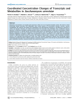 Coordinated concentration changes of transcript and metabolites in Saccharomyces cerevisiae.