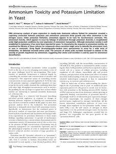 Ammonium toxicity and potassium limitation in yeast. 