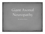 Joshua Khani - Giant Axonal Neuropathy