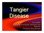 Lily Saadat - Tangier's Disease