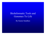 Bioinformatics Tools and Genomes to Life