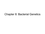 L8 Bacterialgenetics 7e