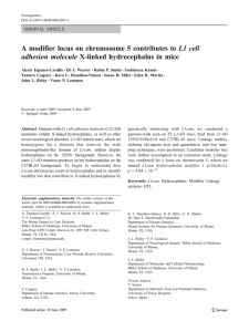 Tapanes-Castillo A, Weaver EJ, Smith RP, Kamei Y, Caspary T, Hamilton-Nelson KL, Slifer SH, Martin ER, Bixby JL, Lemmon VP. Neurogenetics. 2012 Feb;11(1):53-71. A modifier locus on chromosome 5 contributes to L1 cell adhesion molecule X-linked hydrocephalus in mice.