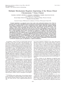 Caspary T, Cleary MA, Baker CC, Guan XJ, Tilghman SM. Mol Cell Biol. 1998 Jun;18(6):3466-74. Multiple mechanisms of imprinting on distal mouse chromosome 7.