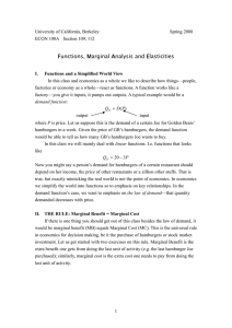 Functions, Marginal Analysis and Elasticities
