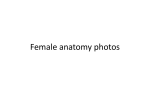 03-Female Anatomy Photos