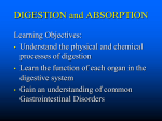 DIGESTIONandABSORPTION[1]