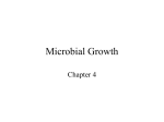 L4 - Microbial Growth v4